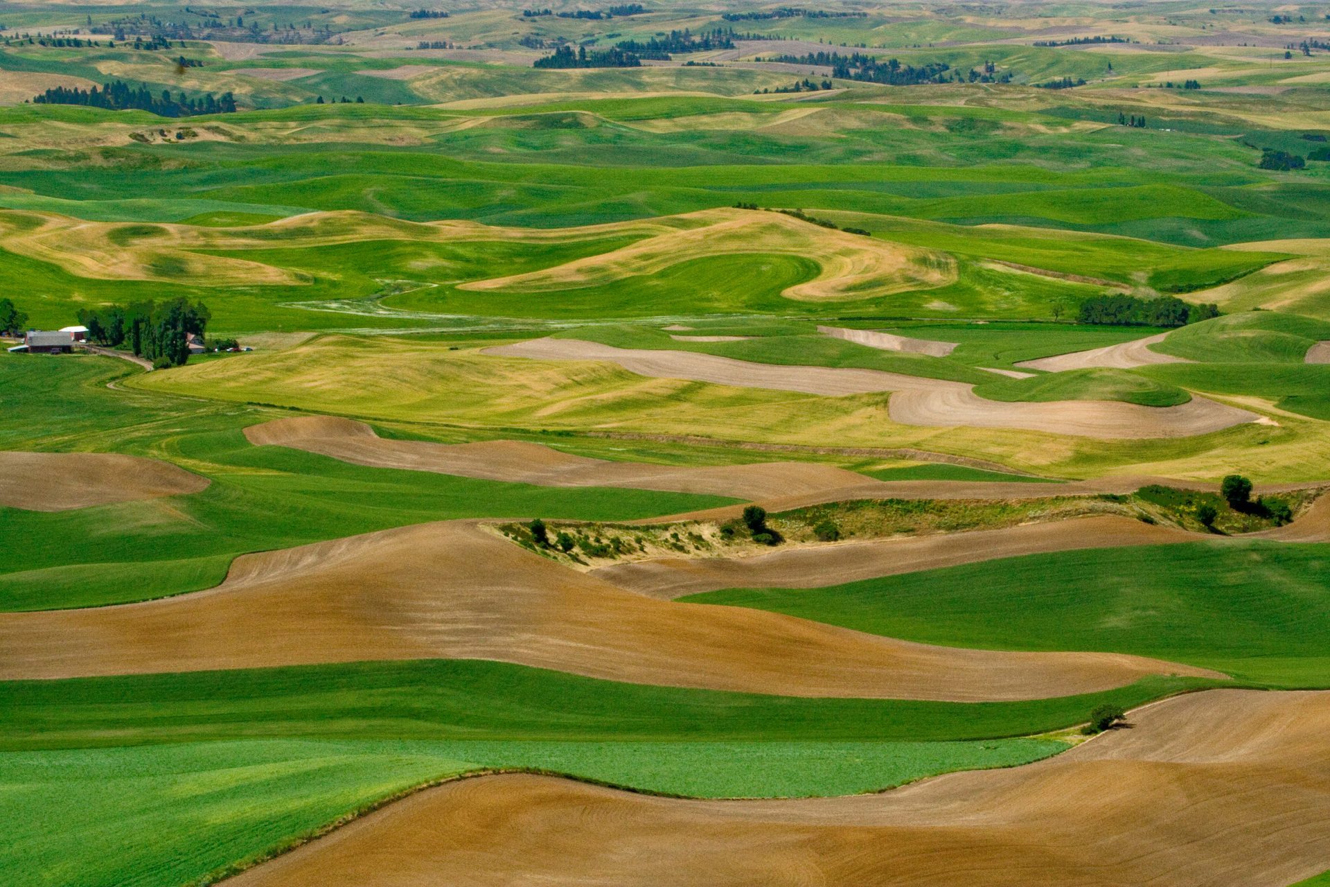 **Cancelled**Spring Outing - Palouse