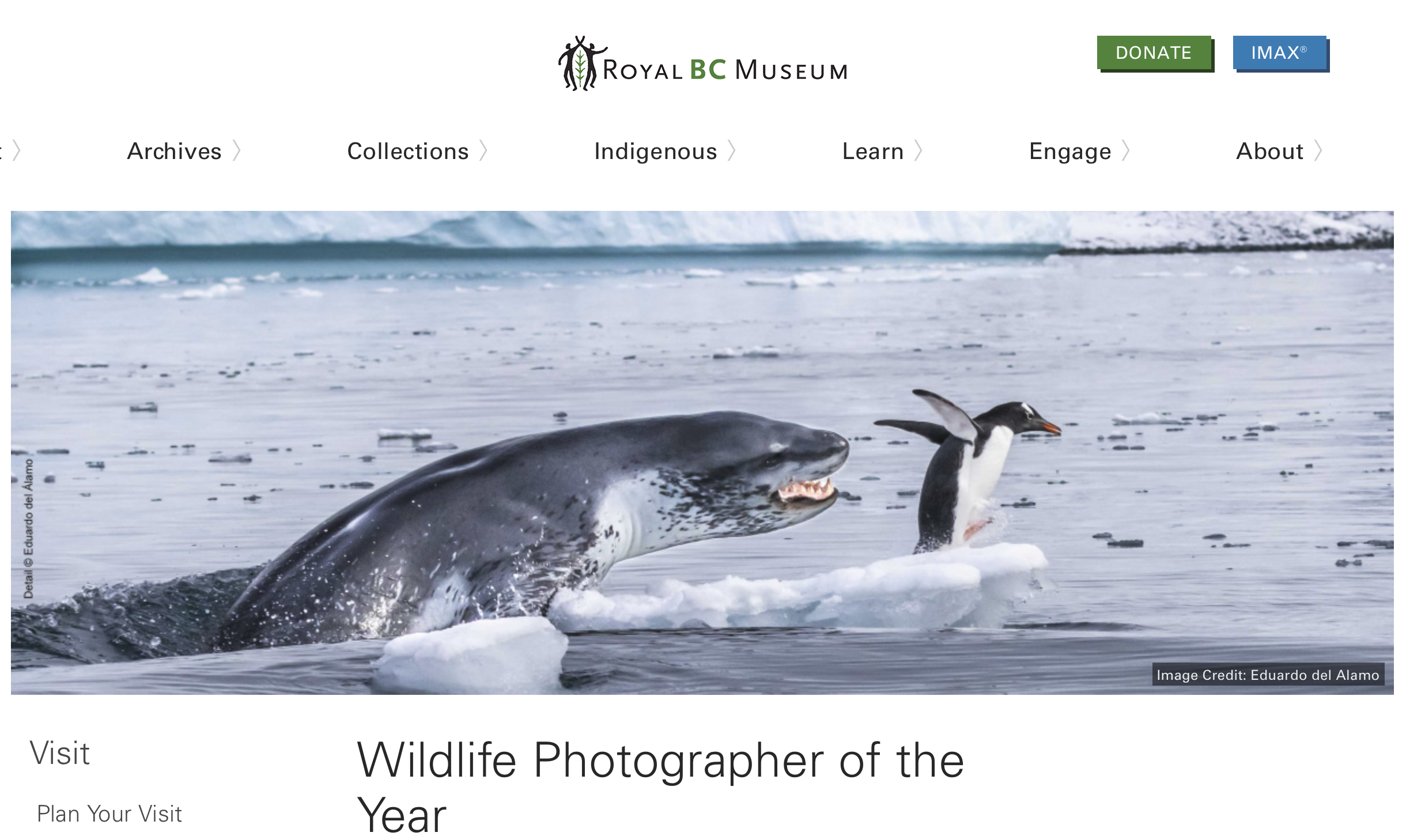 ** Cancelled **Outing to Royal BC Museum - Wildlife Photographer of the Year