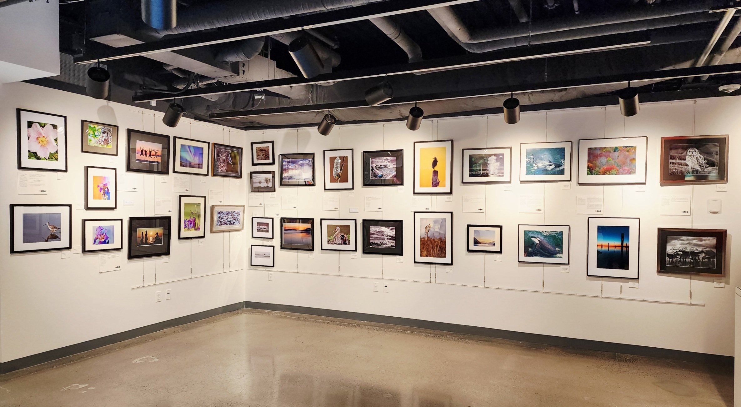 A Print Experience - October 22, 2025