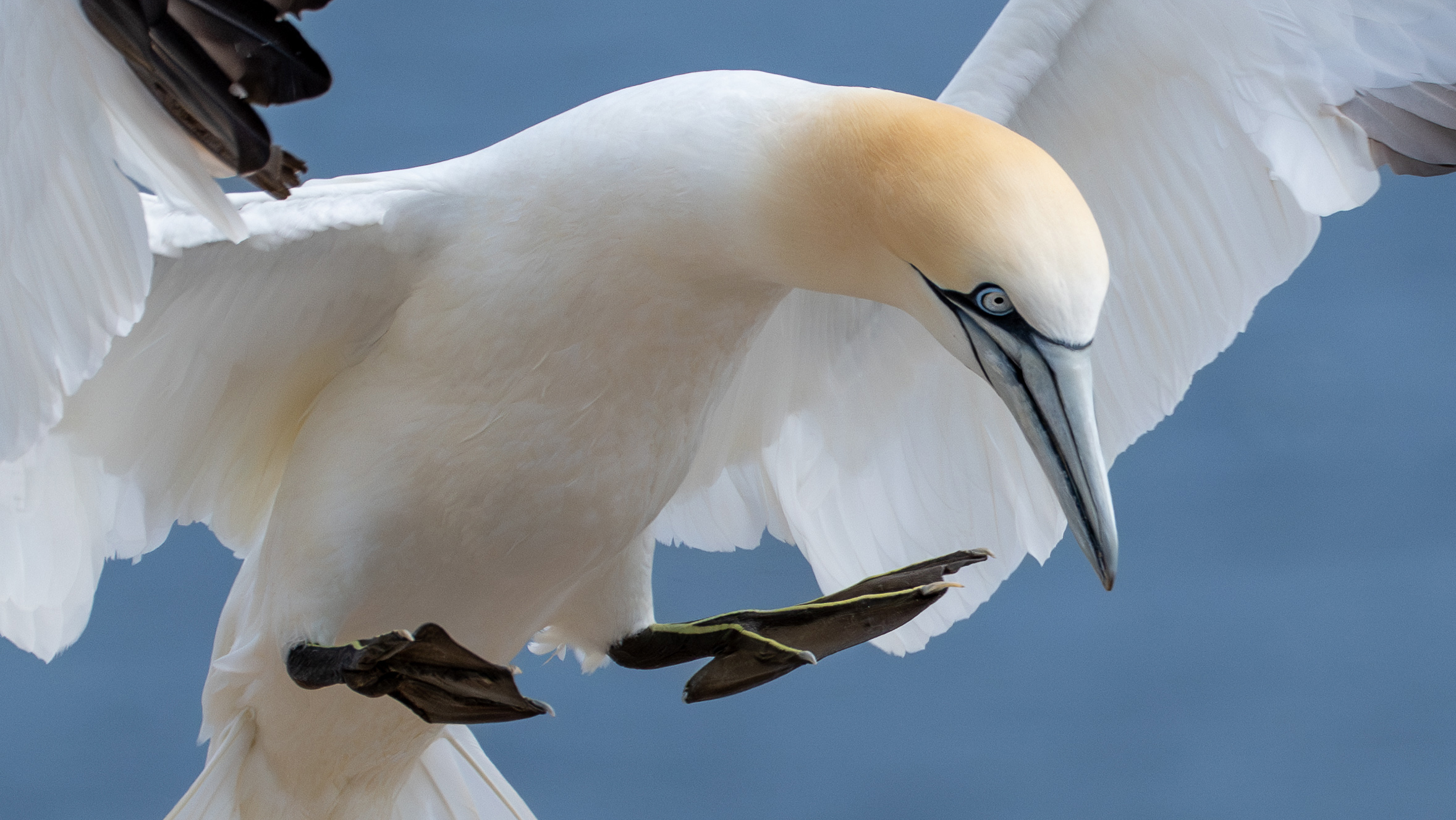Special Presentation - The Magic of Wildlife Photography - Oct 2, 2025