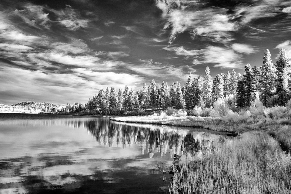 Infrared Lanscape - Mario Traina