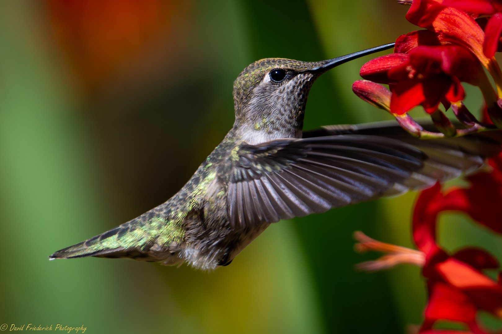 Skills Night - February 11, 2026