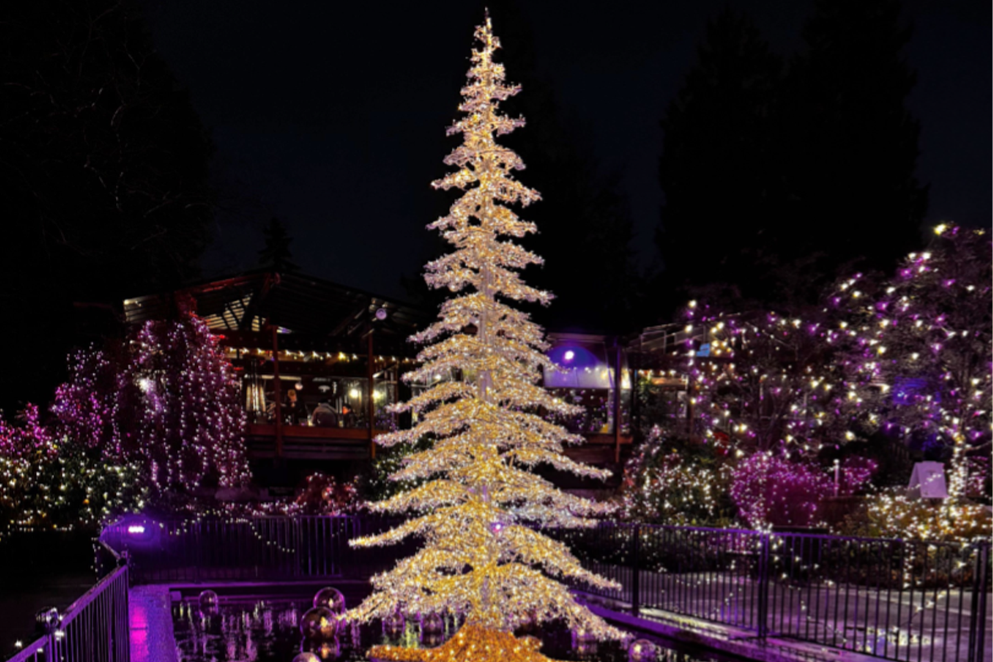 Photo Night - January 14, 2026